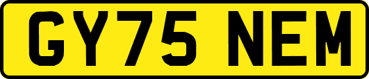 GY75NEM
