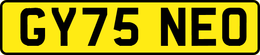 GY75NEO