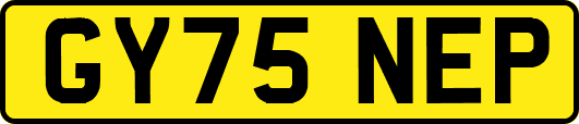 GY75NEP