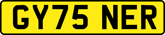 GY75NER