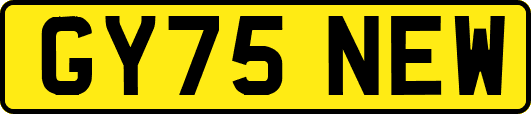 GY75NEW