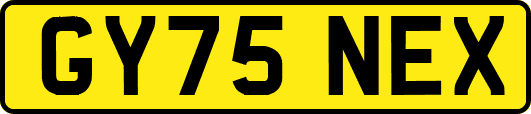 GY75NEX