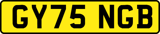 GY75NGB