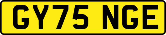 GY75NGE