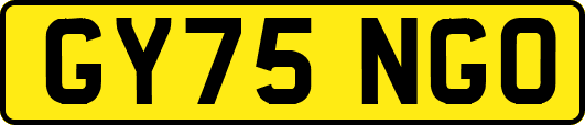 GY75NGO