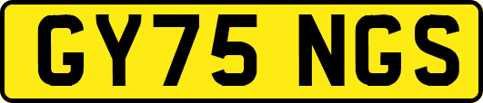 GY75NGS
