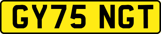 GY75NGT