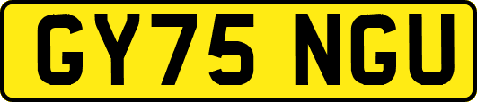 GY75NGU