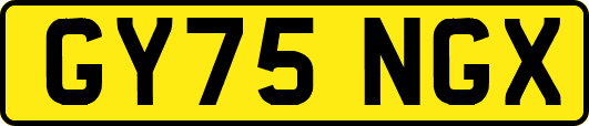 GY75NGX