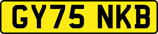 GY75NKB