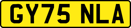 GY75NLA