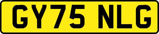 GY75NLG