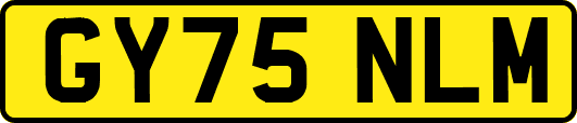 GY75NLM