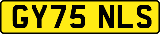 GY75NLS
