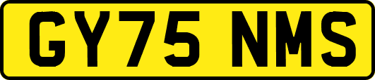GY75NMS