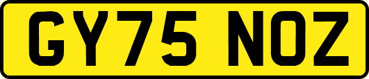GY75NOZ