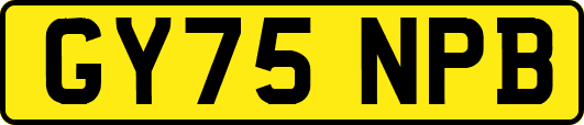 GY75NPB