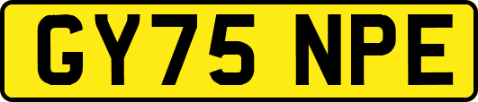 GY75NPE