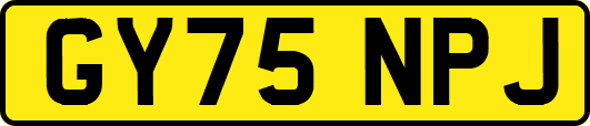 GY75NPJ