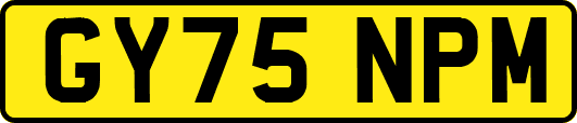 GY75NPM