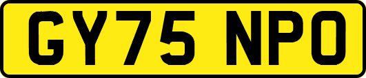 GY75NPO