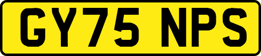 GY75NPS