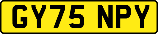 GY75NPY