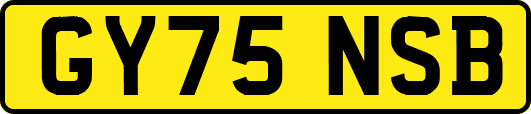 GY75NSB