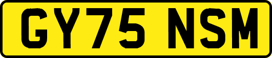GY75NSM