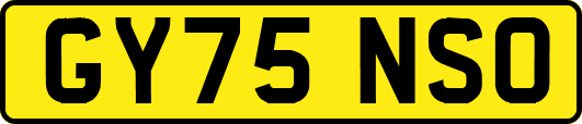 GY75NSO