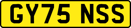 GY75NSS