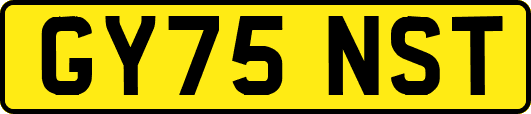 GY75NST