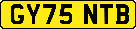 GY75NTB