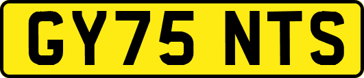 GY75NTS