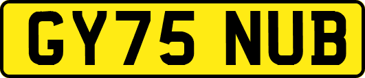 GY75NUB