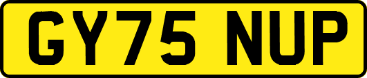 GY75NUP