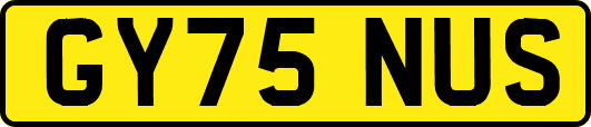 GY75NUS