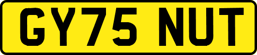 GY75NUT
