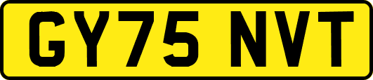 GY75NVT