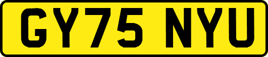 GY75NYU