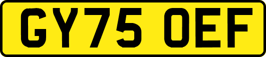GY75OEF