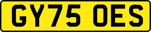 GY75OES