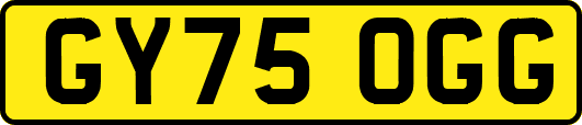 GY75OGG