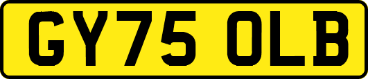 GY75OLB