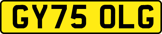 GY75OLG