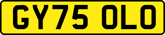 GY75OLO