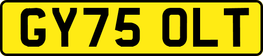 GY75OLT