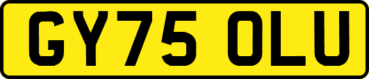 GY75OLU