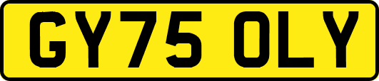 GY75OLY
