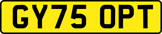 GY75OPT